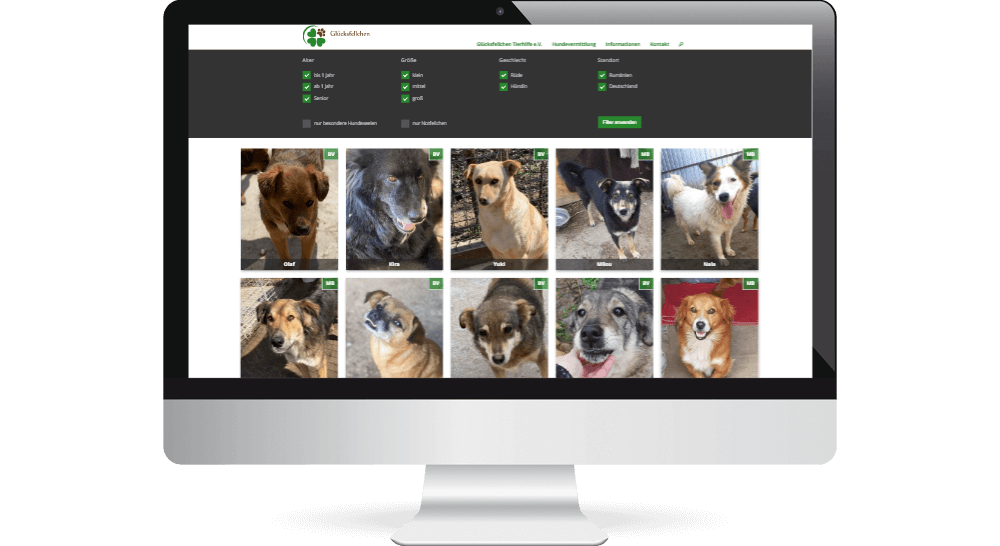 Filter für Hunde-Vermittlung auf der Tierhilfe-Website