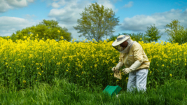 _21A7431-Bearbeitet-1