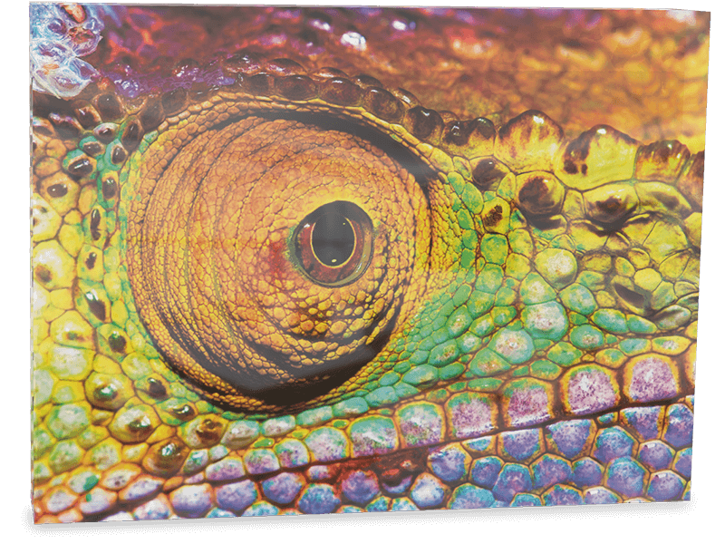 Acrylglas mit Echtglas, rückseitig bedruckt